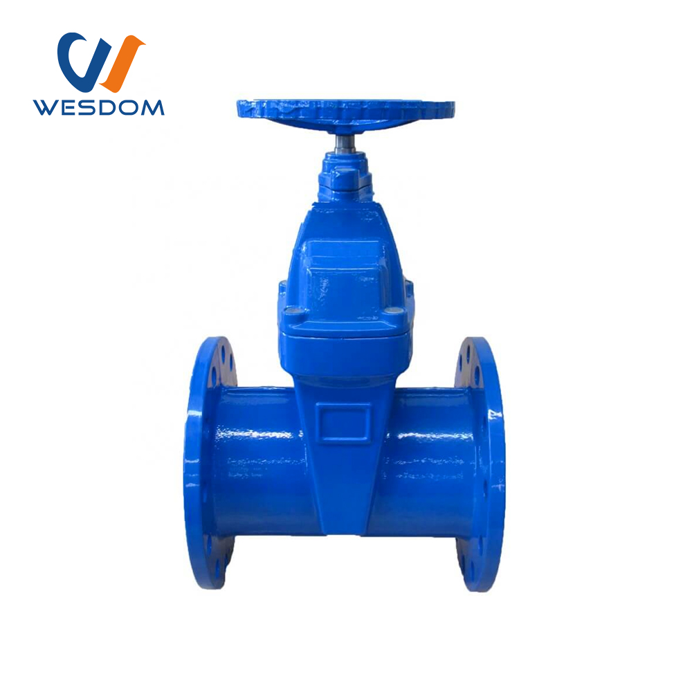 BS5163 Ductile iron gate valve for water treatment system