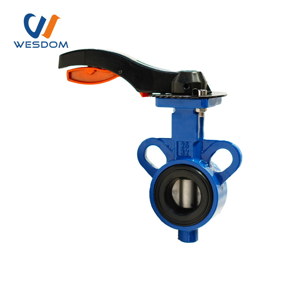 Multi-standard wafer butterfly valve