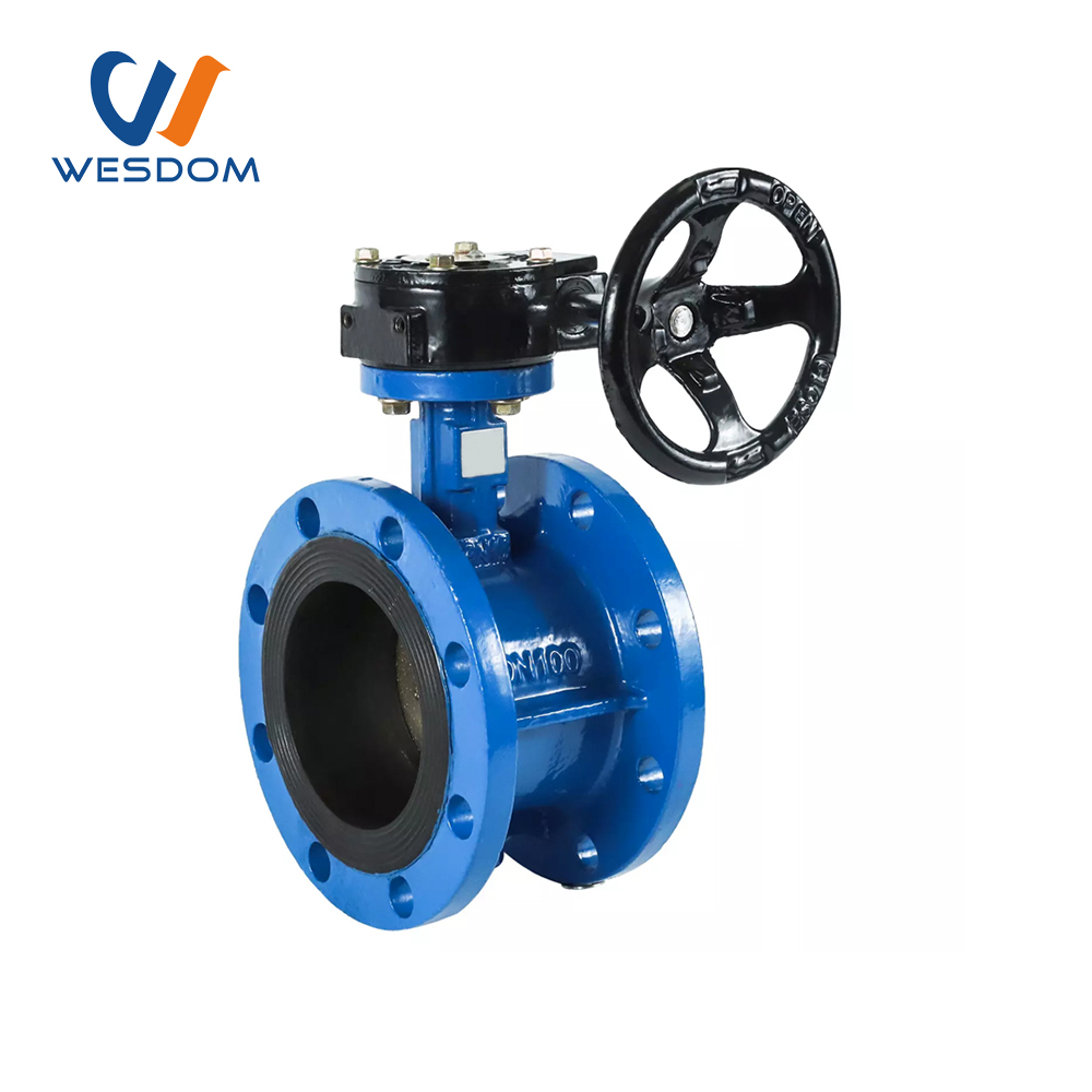 Double flange Worm butterfly valve