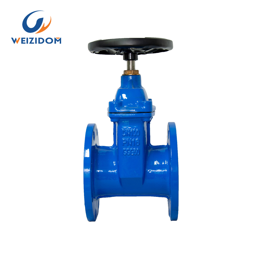 BS resilient seated gate valve