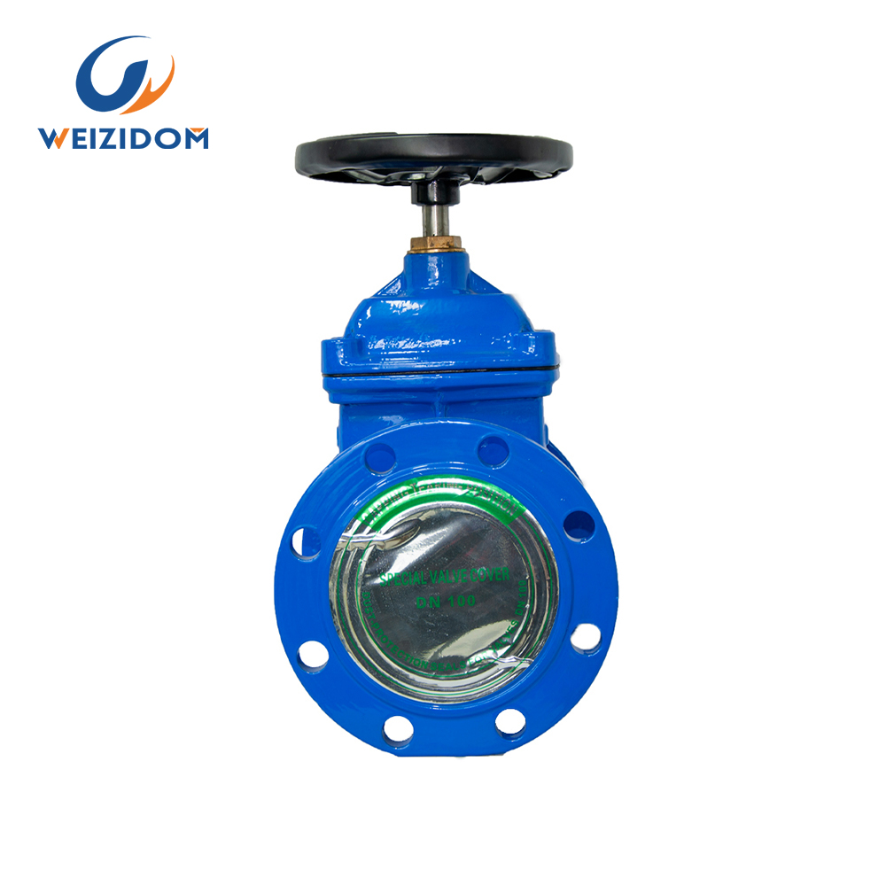 BS resilient seated gate valve5