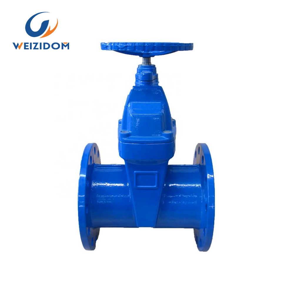 BS5163 Ductile iron gate valve for water treatment system