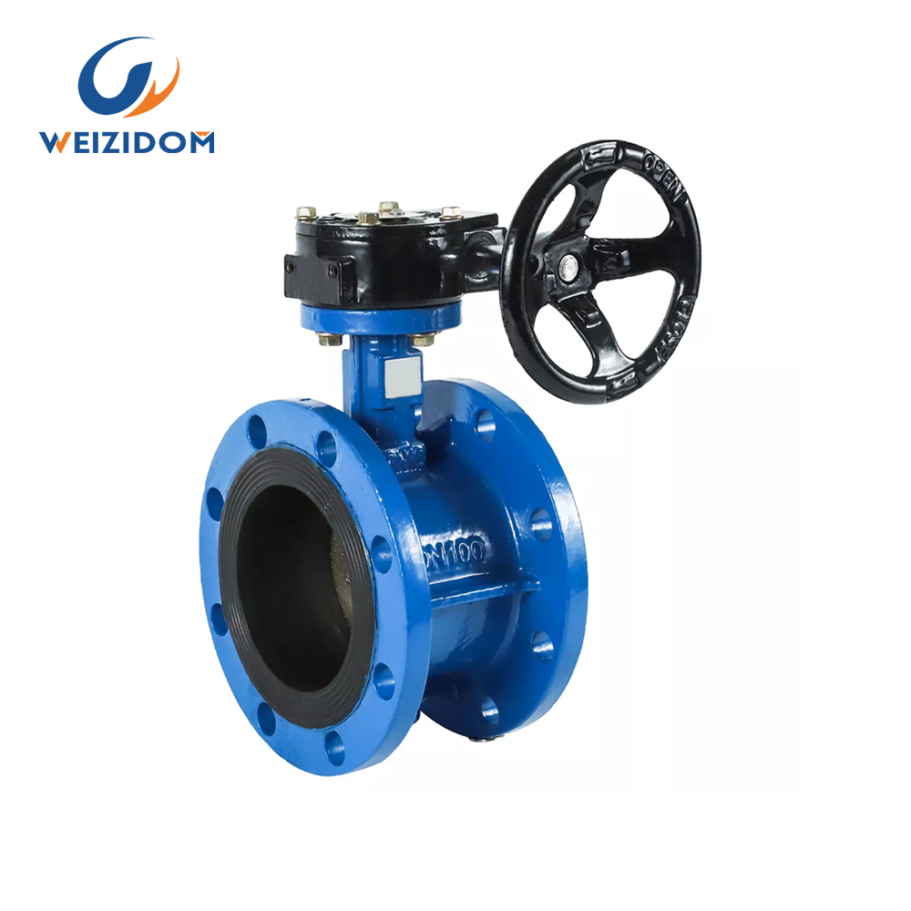 Double flange Worm butterfly valve