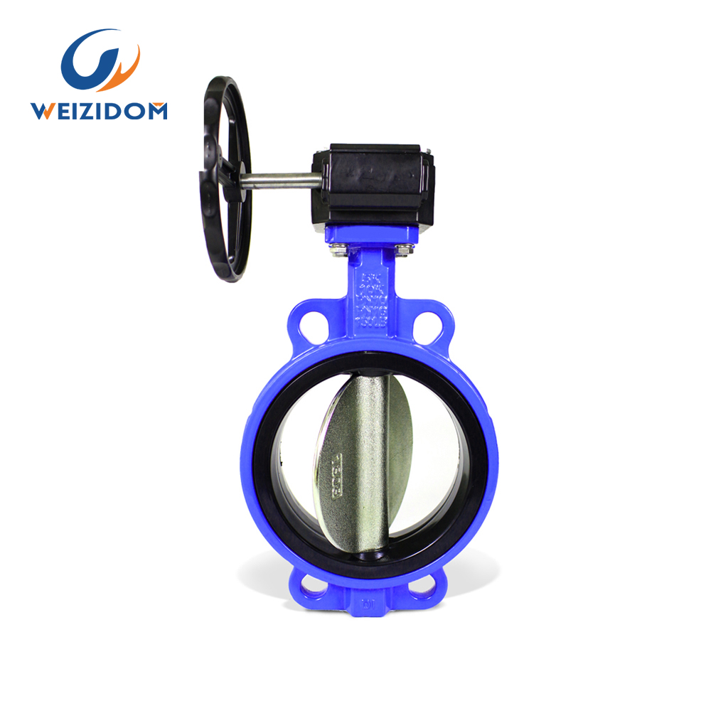 Multi standard soft seat butterfly valve
