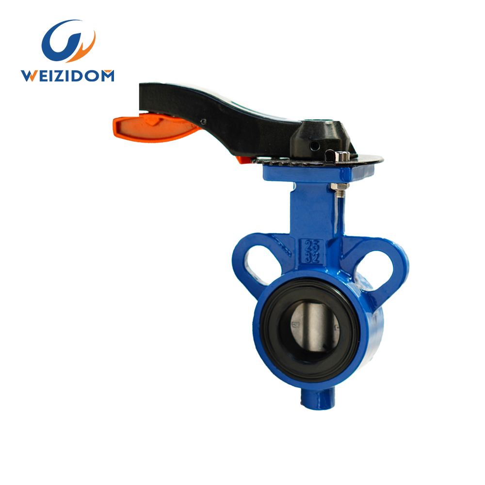Multi-standard wafer butterfly valve