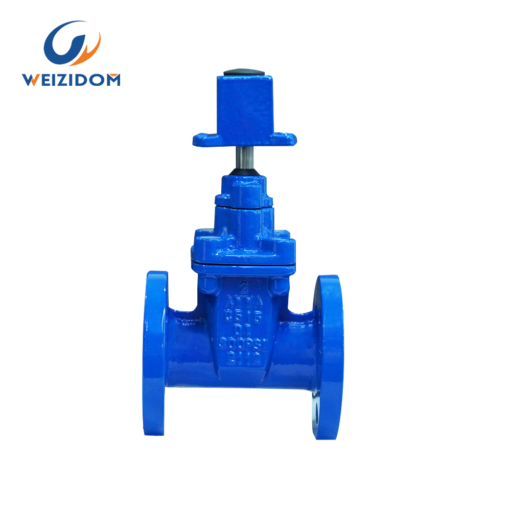 Underground cap soft seal gate valve