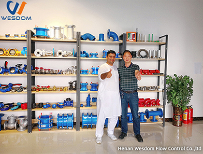 Customers from Karachi, Pakistan visited WESDOM Group