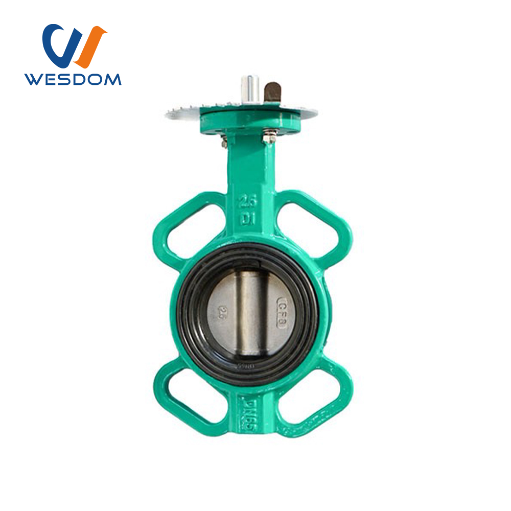 Multi standard soft seat wafer type butterfly valve