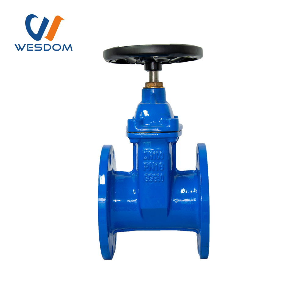 BS resilient seated gate valve