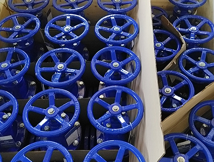 Soft seal gate valves are exported to Tanzania