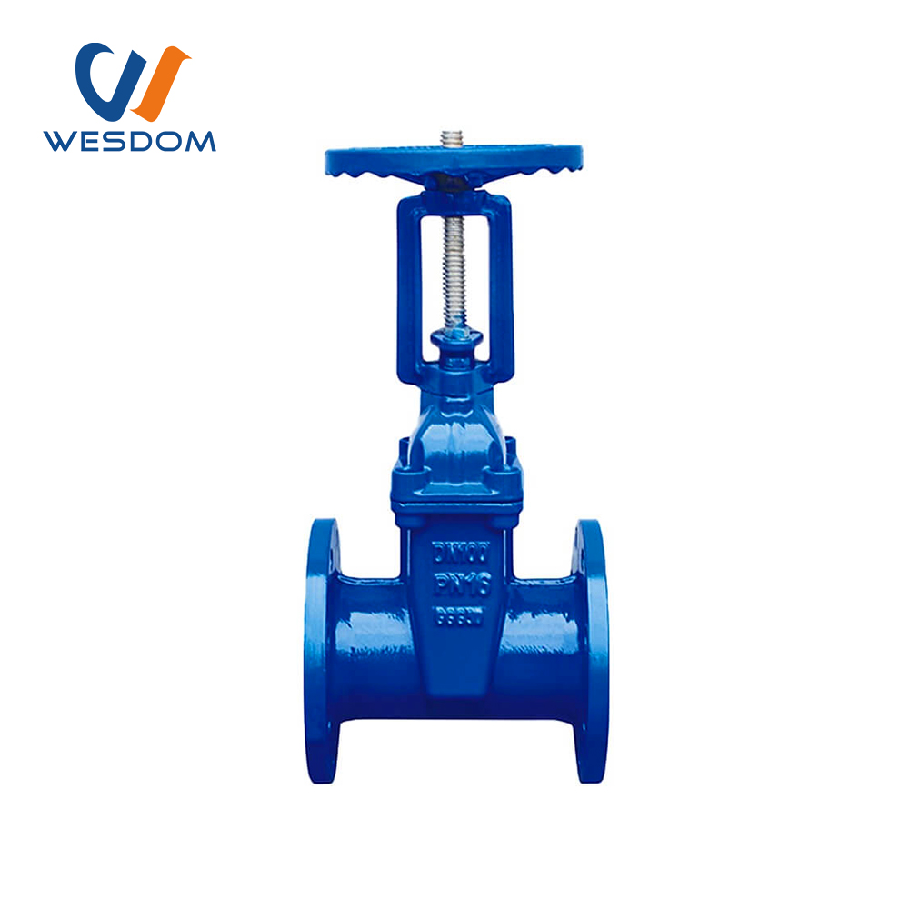 BS5163 rising stem soft seal gate valve