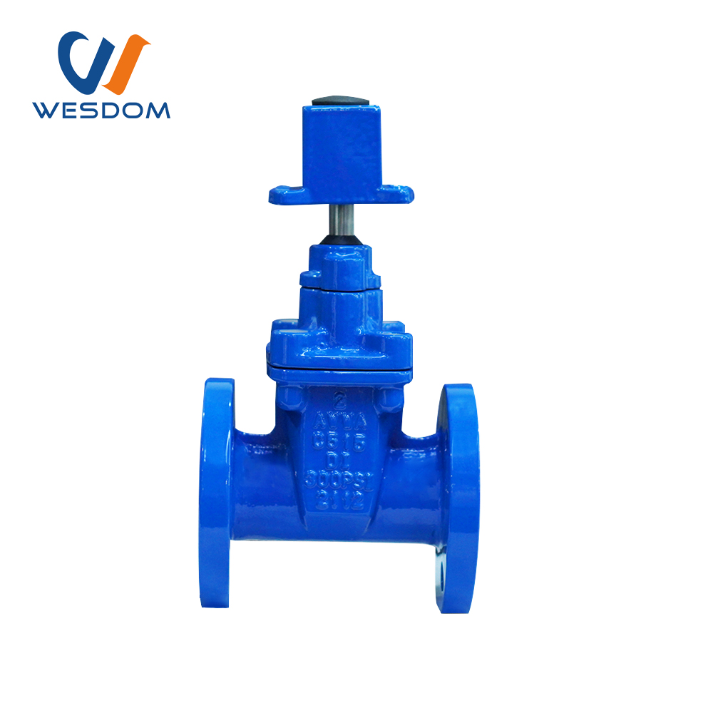 Underground cap soft seal gate valve