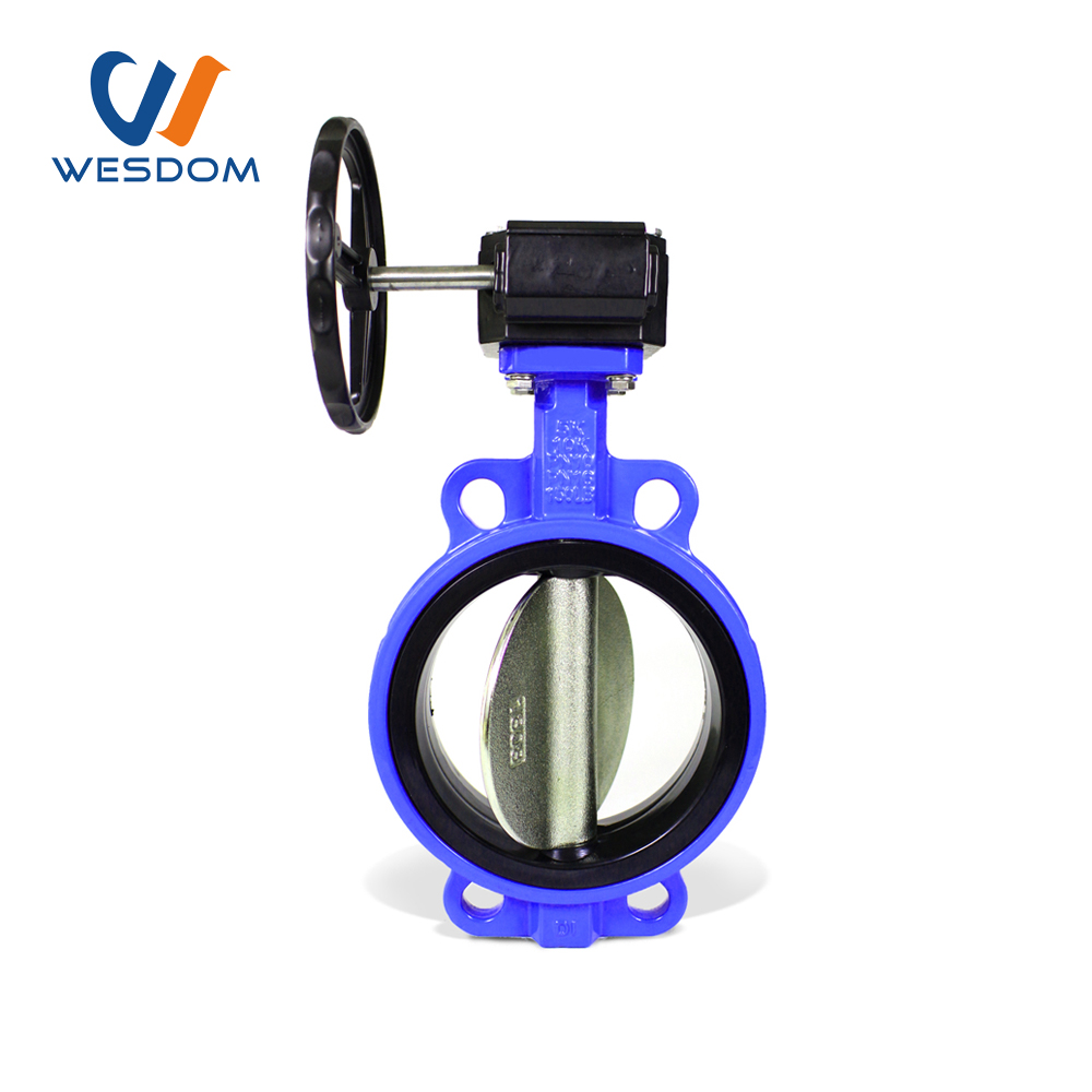 Multi standard soft seat butterfly valve