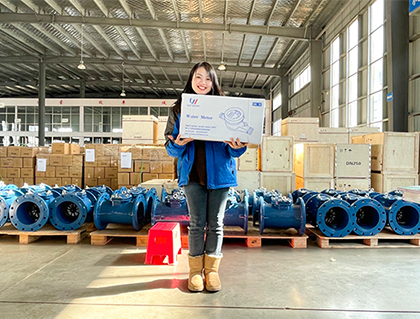 Packaged water meters sent to the Philippines