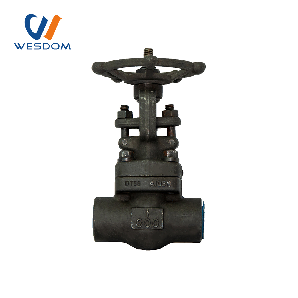 Rising stem forged steel gate valve