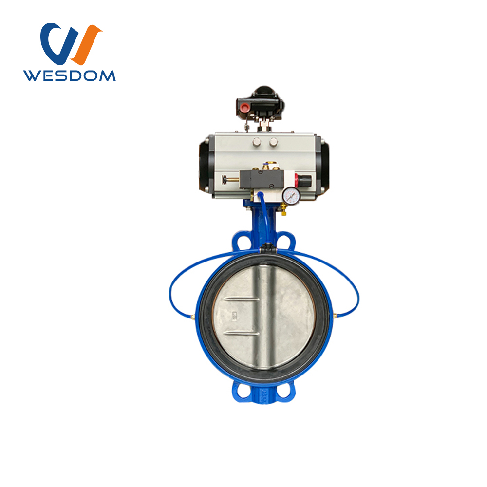 Inflatable butterfly valve