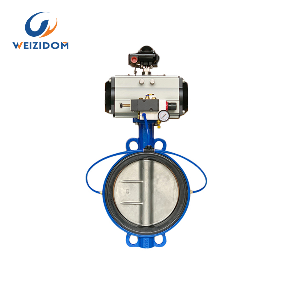 Inflatable butterfly valve