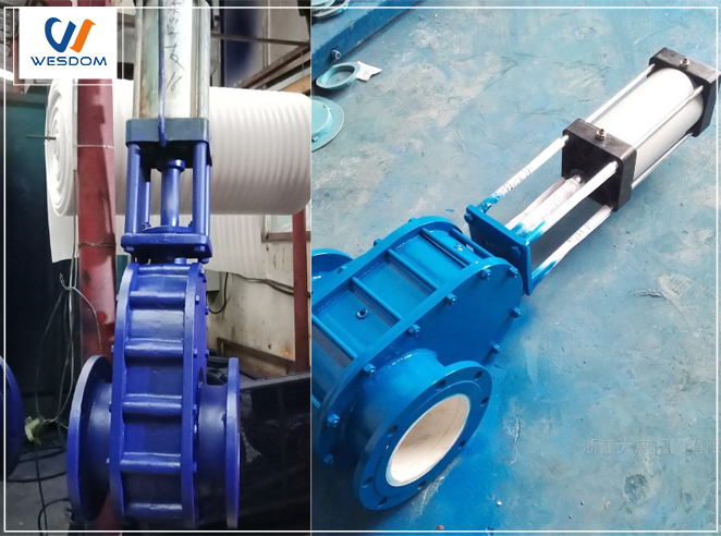 What is a double disc gate valve?