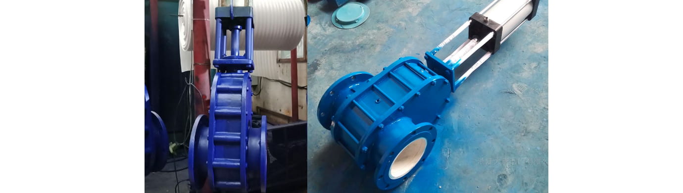 Double disc gate valve