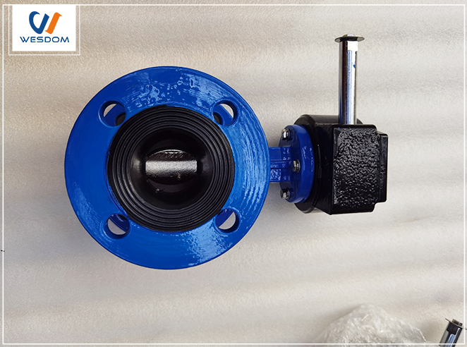 What makes the soft-sealed flange butterfly valve different from other valves?
