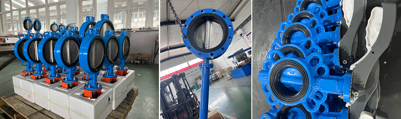 Center line butterfly valve