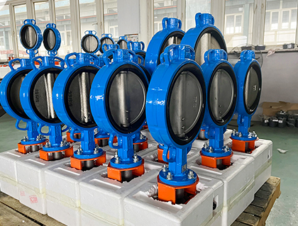 A factory in Southeast Asia purchases WESDOM valves