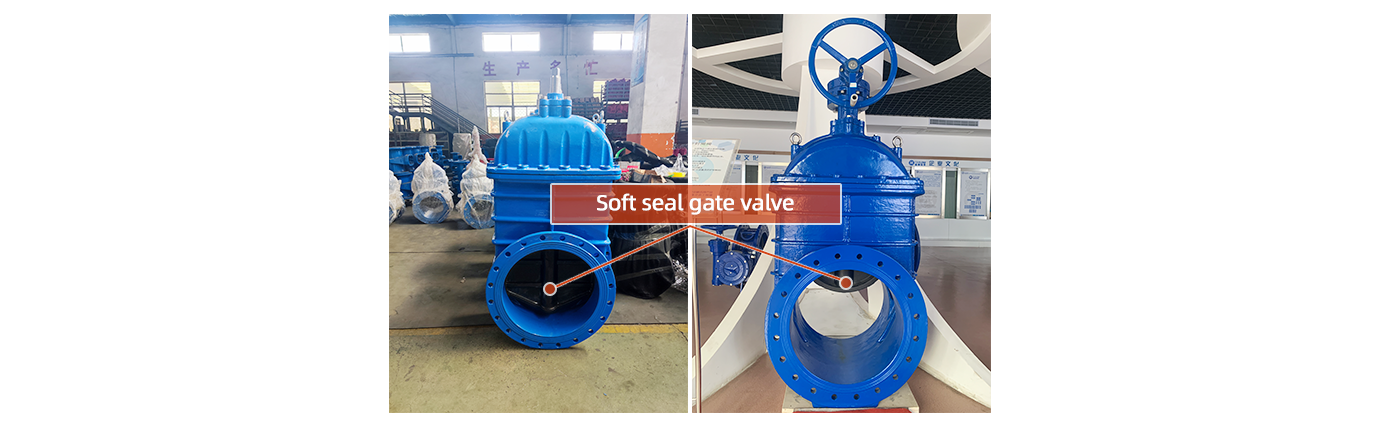 Soft seal gate valve