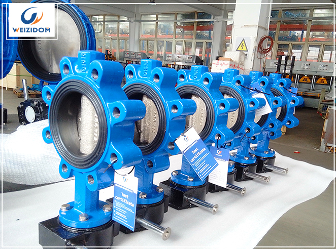 What is Lug type butterfly valve?