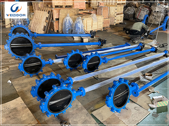A Comprehensive Guide to Lug Butterfly Valve