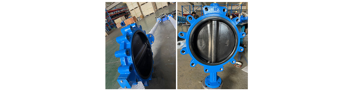 Lug butterfly valve