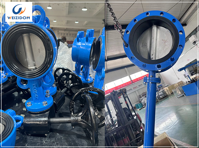 Understanding the Distinction: Wafer Butterfly Valve vs. Flange Butterfly Valve