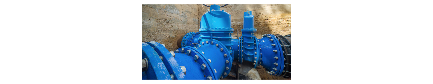 Wesdom gate valve