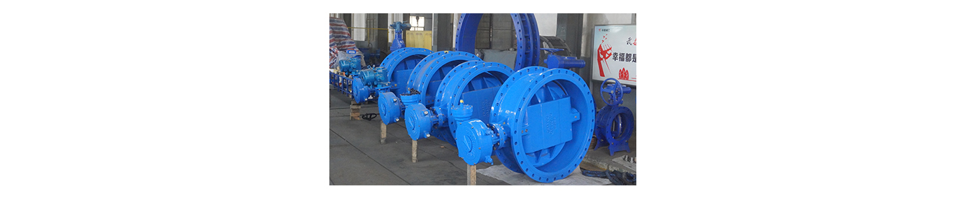 Hard seal eccentric butterfly valve1