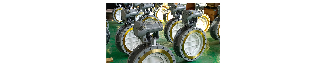 Hard seal eccentric butterfly valve1