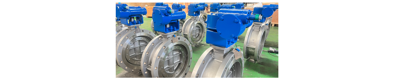 Hard seal eccentric butterfly valve1