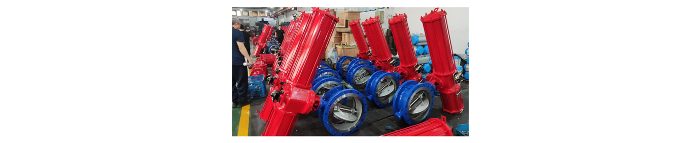 Hard seal eccentric butterfly valve