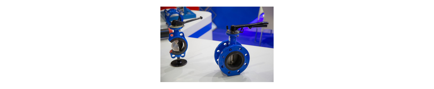 butterfly valve
