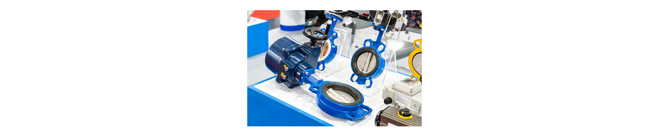 butterfly valve