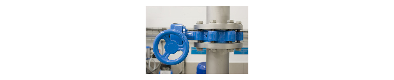 butterfly valve
