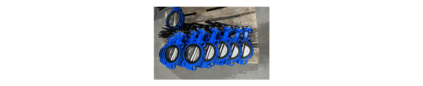 soft seal butterfly valve
