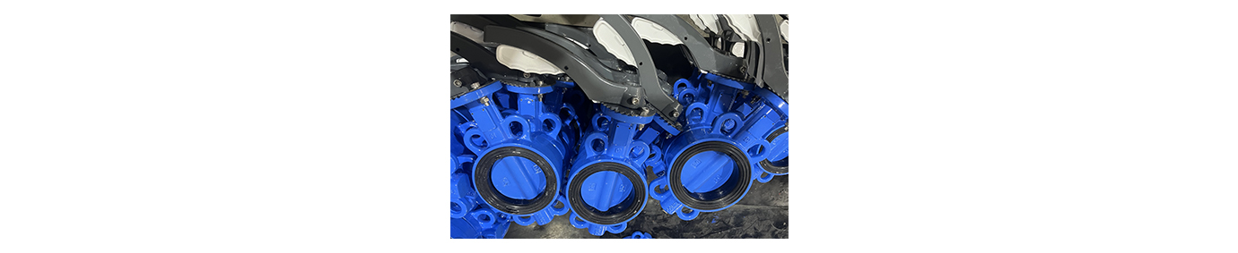 soft seal butterfly valve