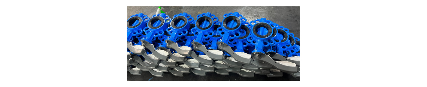 soft seal butterfly valve