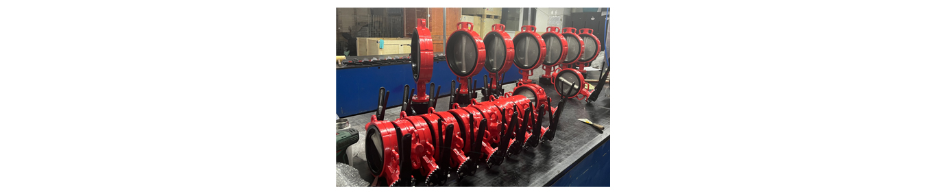 soft seal butterfly valve
