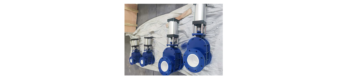 Double Disc Gate Valve