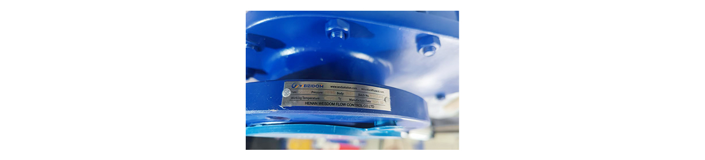 Double Disc Gate Valve