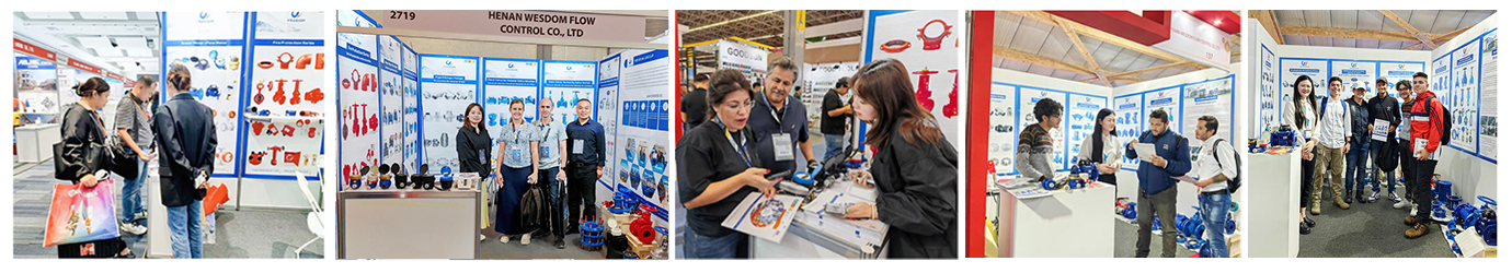 WEIZIDOM – A Globally Trusted Valve Manufacturer1