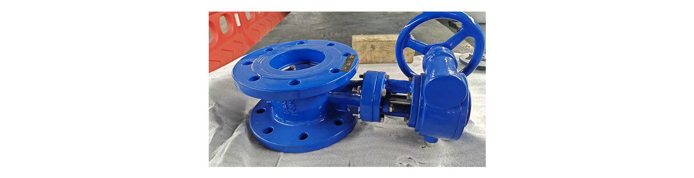 Double Flange and Single Flange Butterfly Valves