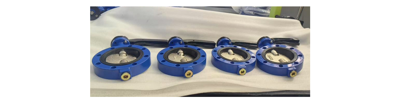 Double Flange and Single Flange Butterfly Valves