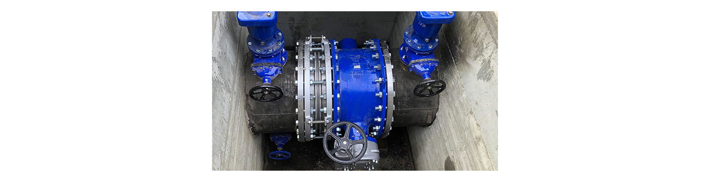 Double Flange and Single Flange Butterfly Valves