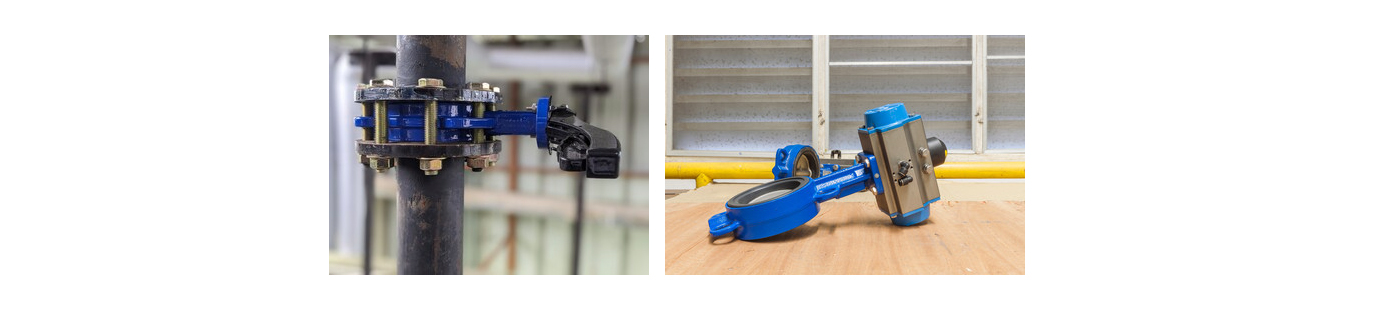 butterfly valve vs ball valve WEIZIDOM